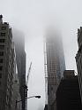 NY (336)